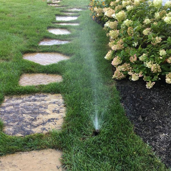 clean and functional sprinkler head