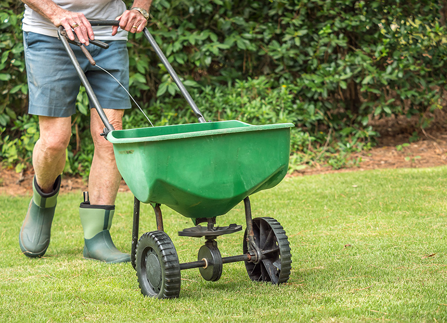 fertilize lawns