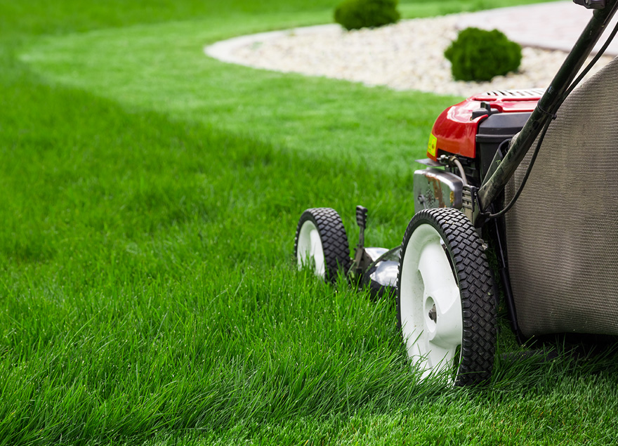 lawn mowing