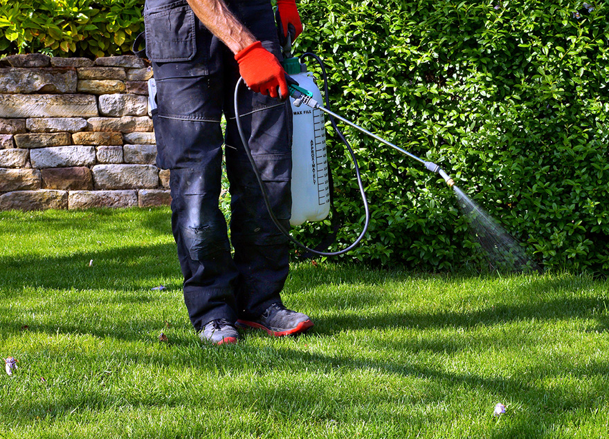 weed treatment lawns