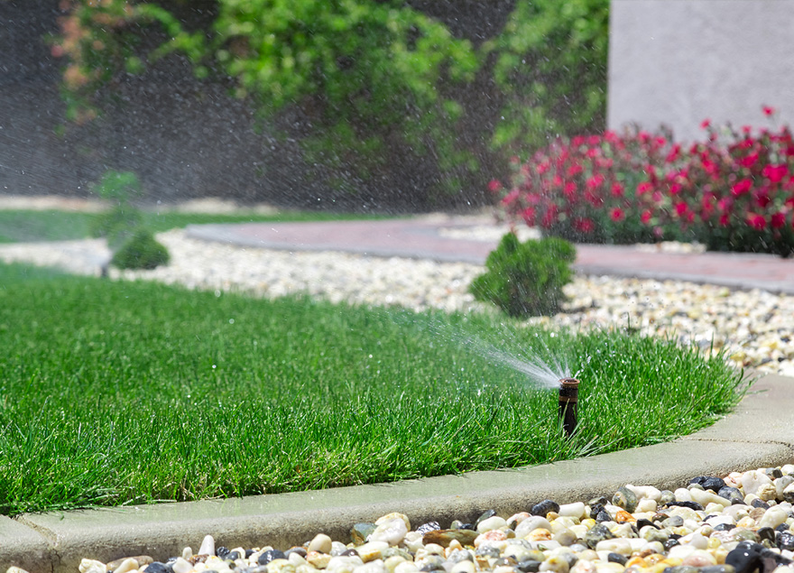 watering lawns