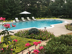 elegant landscaping for pool area