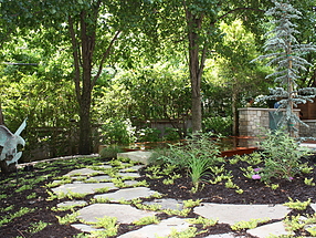 landscape design, hardscape, st. louis landscape, pathway, creeping jenny, groundcover