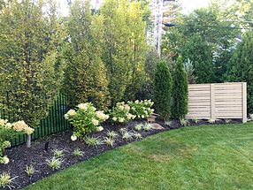 landscape design, hardscape, st. louis landscape, privacy panel, hydrangea