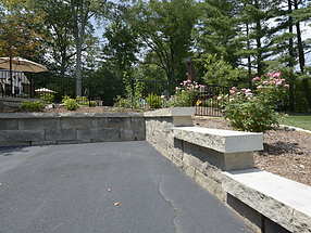 landscape design, hardscape, st. louis landscape, knock out roses, retaining wall, mandevilla