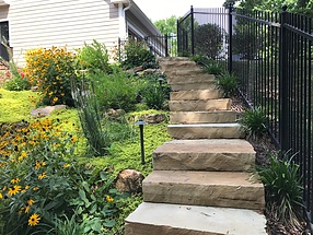 landscape design, hardscape, st. louis landscape, fence, rudbeckia, ground cover