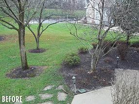 landscape design, st. louis landscape, before