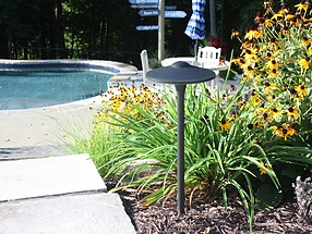 landscape design, lighting, st. louis landscape, fixture, rudbeckia, daylily