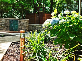 landscape design, lighting, st. louis landscape, hydrangea, copper, liriope, ballards, botanical