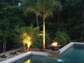 landscape design, lighting, st. louis landscape, palm, fire bowl, pool, tropical