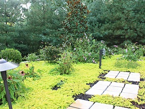 landscape design, hardscape, st. louis landscape, segmented pavers, walkway, outdoor lighting