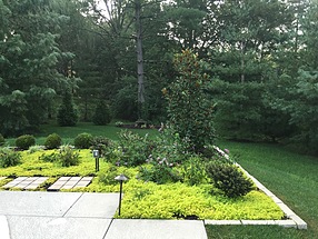 landscape design, st. louis landscape, geometric, pool