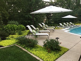 landscape design, st. louis landscape, geometric, pool