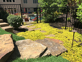 landscape design, hardscape, st. louis landscape, stone ledge staircase, ground cover