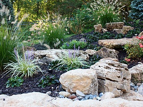 landscape design, st. louis landscape, color