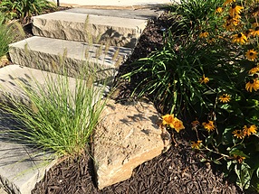 landscape design, hardscape, st. louis landscape, stone, stairs, rudbeckia