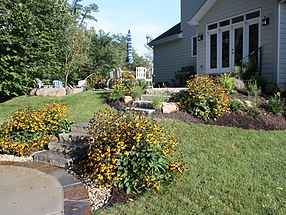 landscape design, hardscape, st. louis landscape, flagstone, stairs, rudbeckia