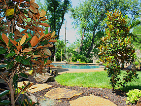 landscape design, st. louis landscape, privacy