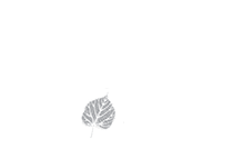 Flora Design and Landscape Logo